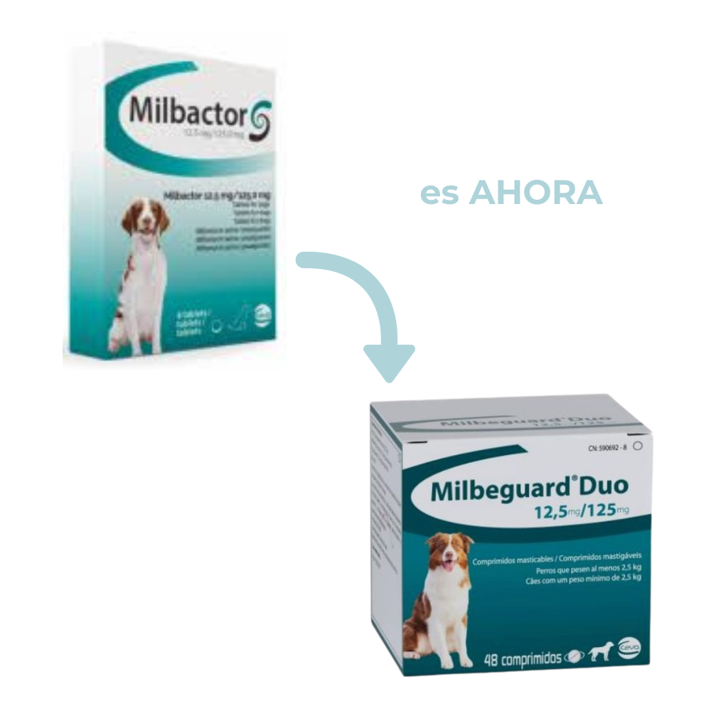 Milbeguard®️ Duo Perros Grandes +25 kg – Nuevo Milbactor Palatable
