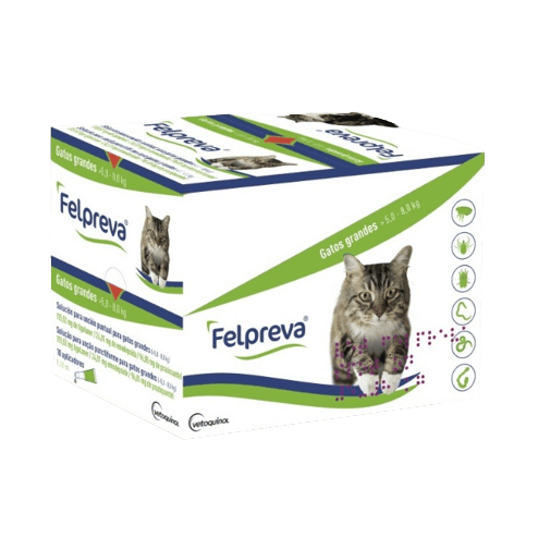Felpreva Gatos Parásitos Interno y Externos 3 Meses - Tu Antiparasitario Veterinario