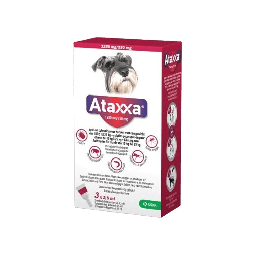 Ataxxa