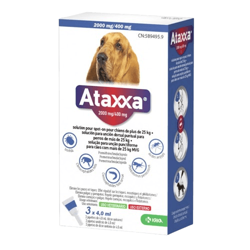 Ataxxa