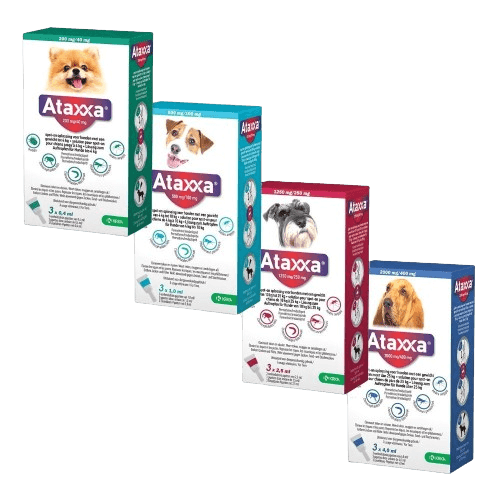 Ataxxa