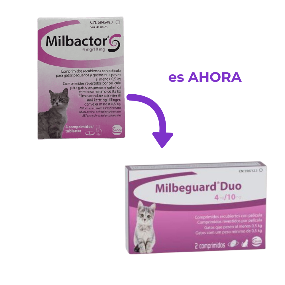 Milbeguard® Duo Gatos – Desparasitante Interno Completo (Nuevo Milbactor)