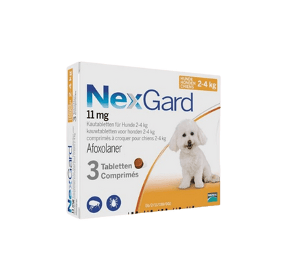 Nexgard Perros - Tu Antiparasitario Veterinario