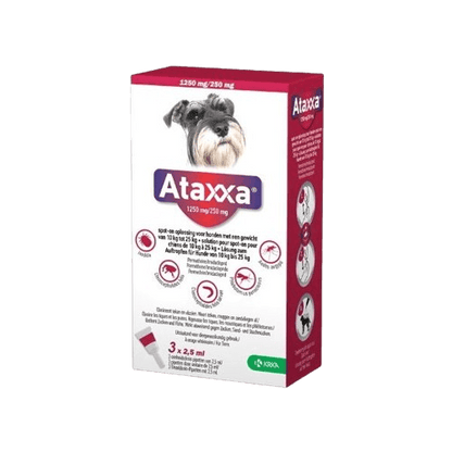 Ataxxa