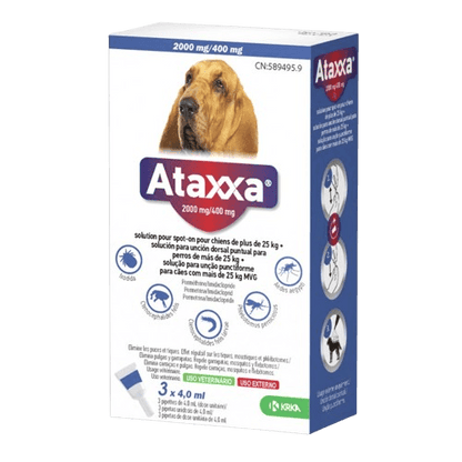 Ataxxa