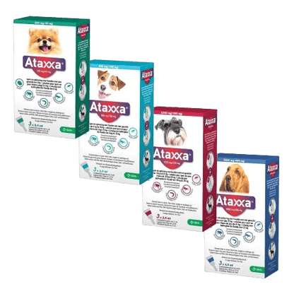 Ataxxa