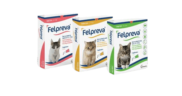 Felpreva Gatos Parásitos Interno y Externos 3 Meses - Tu Antiparasitario Veterinario