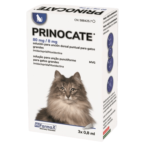 Prinocate Gatos